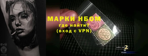 прущий лед Алзамай