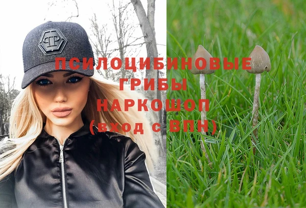 бутират Алексин