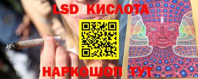 сатива Кингисепп