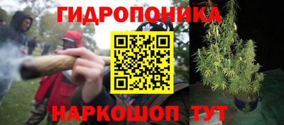 молекула духа Кинель