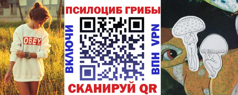 Галлюциногенные грибы Psilocybine cubensis  omg ONION  Лесосибирск 