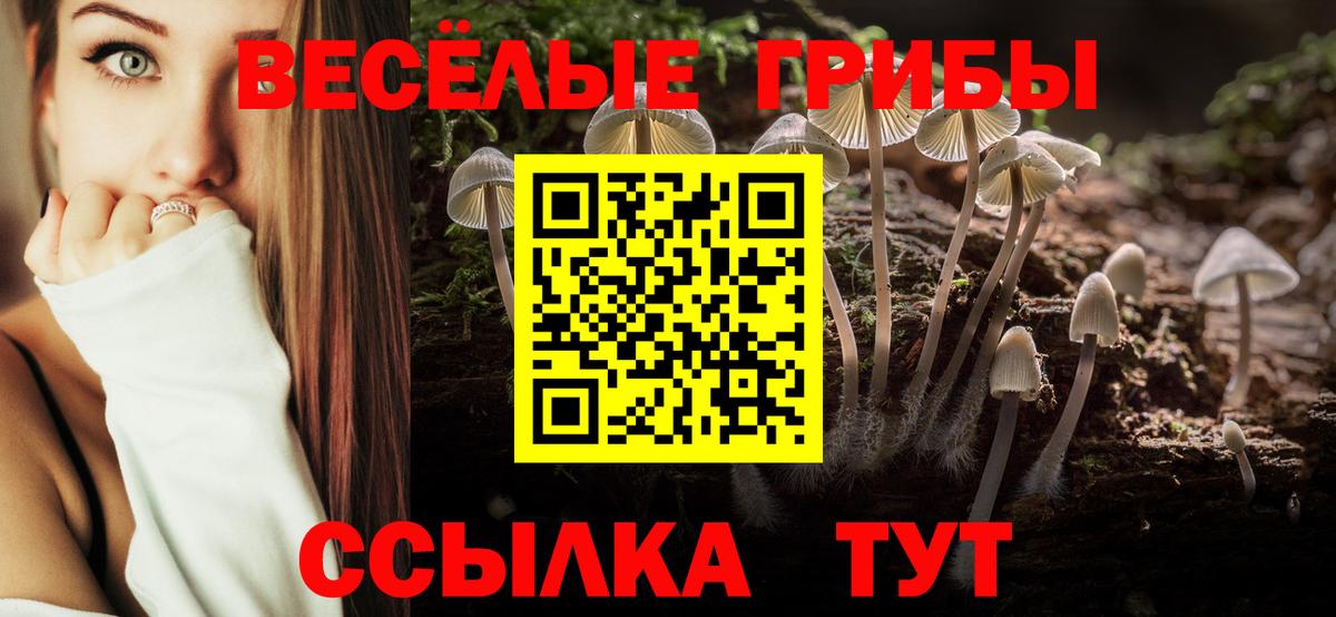 Псилоцибиновые грибы прущие грибы  Вход с VPN  Лесосибирск 