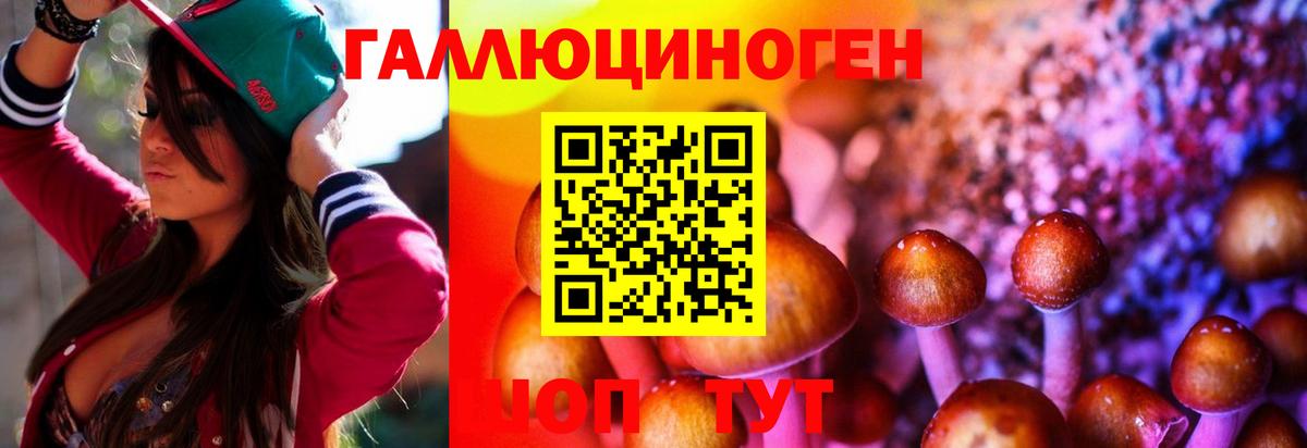 Галлюциногенные грибы прущие грибы Лесосибирск